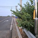 독산마을회관 이미지