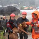 파도축사 이미지