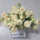 전혜숙농장 이미지