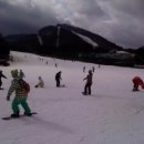 용평리조트 이미지