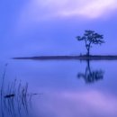 바다, 생명을 담다 이미지