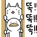 더테라피수 이미지