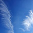 푸른하늘 이미지