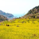 인성농산 - 부천시 원미구 부천로185번길 22-9 | 인성농산