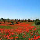 THE GARAGE 이미지