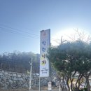 착한낙지(단계점) | 원주 벚꽃 대로변의 유혹! 단계동 '착한낙지' 화끈한 포장 찐 후기🌸