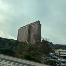 케이스호텔비지니스 | 서울 신라호텔 비지니스 디럭스 룸 [ 이그제큐티브 라운지] ( 애프터눈티 해피아워 조식 )