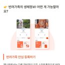 펫나우 이미지