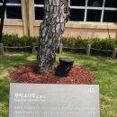 지수초등학교