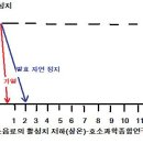 발효시 재료 건지는 유효시점과 가장 이상적인 2차 숙성기간은? 이미지