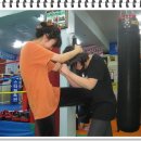 스타체육관 이미지