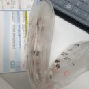 [빛나는나날] 징조도 없이 시작한 새해, 1월 일상