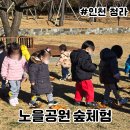 느티나무유치원 | 인천 청라 1세 숲체험 생태 미술 자연물 놀이