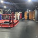 분당복싱체육관 이미지