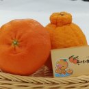 은서농장 이미지