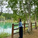 주식회사버스투어여행사 | 삿포로 비에이투어 여행사 고르는 법 솔직후기 + 꿀팁 (일일 버스) [1편]