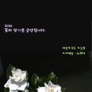 꽃과향기