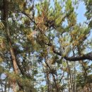 웅남초등학교 | 창원점집 운연당 생년월일 없이도 상담 가능한 신점 후기