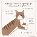 (주)팜젠사이언스 노동조합 | 24년 6월 월간일기 사진기록 - 2