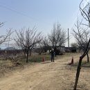 칠산로459번길 네이버블로그
