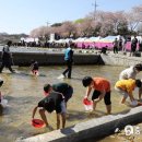 금산첨화