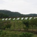 서리골천 이미지