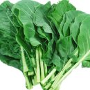 다비치안경 도곡역점 이미지