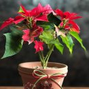 숲속해뜰유치원 이미지