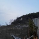 인휴당 솔직후기 _ 부산근교여행추천 독채펜션 _ 뜻하지않은 원동매화축제 명소근처 ㅋㅋ(23.03.11)