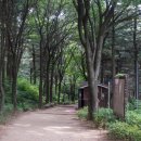 생각나무숲작은도서관 경기도뉴스