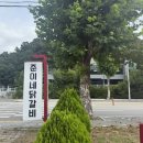 준이네식당 | 춘천 레고랜드 주변 맛집 닭갈비 맛집 추천 준이네닭갈비