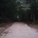 성복2로78번길 이미지