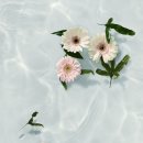 바다윤슬 이미지