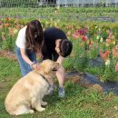 푸르메농장 이미지