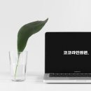 코코라인의원 이미지