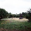 남원읍-19 이미지