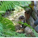 아기누리 이미지