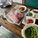 계룡산글램핑동월숲