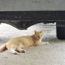 뭉치농장 이미지