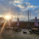 댕스파크 이미지