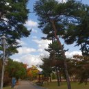 튼튼영재어린이집 이미지