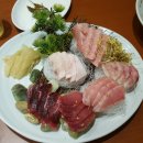 다운참치 이미지