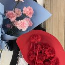 라플라너리 이미지
