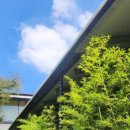 스완세탁소 이미지