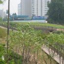 오전동 가족공원 이미지