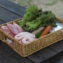 강변사리캠핑장 이미지