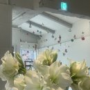 가든키친(Garden Kitchen) | 경복궁역 서촌맛집 | 아이노 가든 aino garden kitchen - 내돈내산 찐 후기