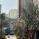 이사형 | [베스트이사몰] 안산 포장이사 내돈내산 솔직후기