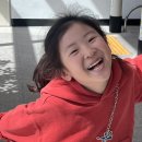 도람도람 Daum카페