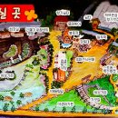 허브나라 - 하남시 | 허브나라